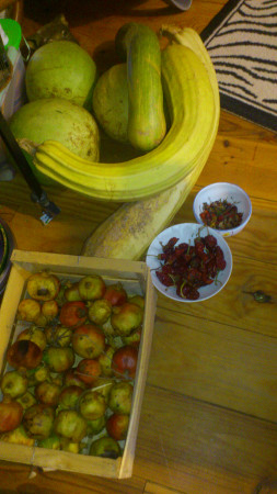 légumes Aude et Tarn 2